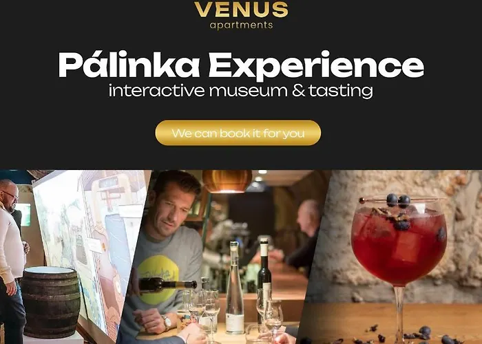 Apartament Venus - Akacfa I *
